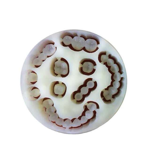 Yucera Trwały Jednowarstwowy PMMA do Protez Dentystycznych dla Niezawodnej i Wysokiej Jakości Produkcji Protez Dentystycznych